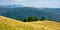 primeval beech forest on the mountain meadow