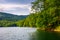 Primeval beech forest over the Morske Oko lake