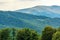 Primeval beech forests of carpathian mountains