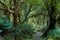 Primeval forest on kepler track