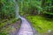 primeval forest through which the walkway leads. Alpine of San Mauricio in the Aigues Tortes National Park in the Spanish Pyrenee