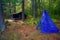 Primitive Bushcraft Campsite with a lean to and a tarp teepee in the Adirondack Mountain Wilderness.