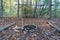 Primitive lean to Shelter with campfire  Survival Bushcraft setup in the Blue Ridge Mountains near Asheville. During