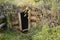 Primitive root cellar hillside entrance door