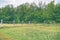 Primitive rustic wooden fence in front of forest