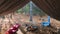 Primitive Tarp Shelter with campfire and fairy lights. Survival Bushcraft setup in the Blue Ridge Mountains near Asheville. During