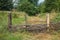 Primitive wooden fence in the woods