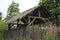 Primitive wooden hut thatch roof