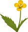 Primrose clipart. A cute Primrose flower icon. AI-Generated.