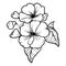 primrose flower tattoo designs, delicate primrose tattoo, primrose flower coloring page,