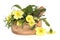 Primrose Flowers and Herbs