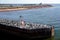 Prince Edward Island, Canada: Cormorants - Phalacrocorax auritus - sunning themselves on a pier