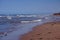 Prince Edward Island, Canada: A flock of sandpipers on a red sandstone beach