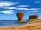 Prince Edward Islands Teacup Rock Painting