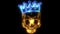 Prince skull in crown laser animation