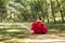 Princess with crown in cloudy red dress