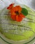 Princess gateau with Nasturtium flower