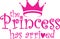The princess has arrived label, vector illustration