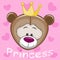 Princess Teddy Bear
