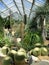 The Princess of Wales Conservatory at Kew Gardens, London