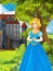 The princesses - castles - knights and fairies - Beautiful Manga Girl - illustration for the children