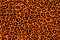 Print black orange leopard pattern texture repeating seamless