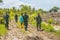 Print new rice fields at the Poli village of South Tinombo sub district, Parigi Moutong Regency,Central Sulawesi, Indonesia