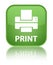 Print (printer icon) special soft green square button