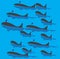 Print set dolphin fish animal sea vectors