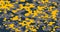 Print texture military camouflage army yellow hunting. Vector EPS 10