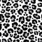 Print texture repeating seamless pattern snow leopard jaguar white leopard