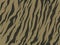 Print texture seamless camouflage tiger khaki black