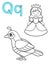 Printable coloring page for kindergarten and preschool. Card for study English. Vector coloring book alphabet. Letter Q. quail,