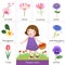 Printable flash card for flowers and little girl picking flower