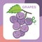 printable flashcard tropical fruits for kids. Learning about fruits name flashcard. kawaii grape flashcard for children