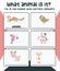 Printable quiz card for kids. Guess and write the animalâ€™s name you see on this worksheet.