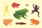 PrintExotic amphibian set. Frogs in different styles Cartoon Vector Illustration isolated. tropical animals