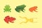 PrintExotic amphibian set. Frogs in different styles Cartoon Vector Illustration isolated. tropical animals