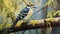 Printmaking And Tempera Painting: Capturing The Shining Beauty Of A Unique Downy Woodpecker