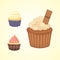 PrintSet of cute vector cupcakes and muffins. Colorful cupcake isolated for food poster design.