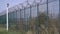 Prison fence with barbed wire on top of it and plants growing