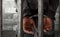 Prisoner in handcuffs in jail