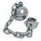 Prisoner shackle