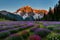 A pristine alpine meadow blanketed in colorful wildflowers, with snow-capped peaks in the distance