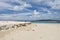 Pristine beach at Jolly buoy Island, Port Blair