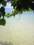 Pristine Beach of Tonga