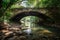 pristine natural environment, with clear and serene stream flowing under bridge