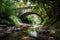 pristine natural environment, with clear and serene stream flowing under bridge