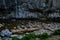 Pristine natural landscape with River flowing freely through the eroded rocks and driftwood in the Sohodol Gorges, in Gorj county