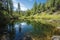 pristine pond surrounded by clear waters, but with the threat of agricultural runoff nearby